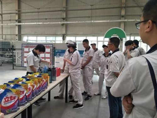 軟質(zhì)車(chē)間 粽香傳情系端午，匠心筑夢(mèng)展風(fēng)采